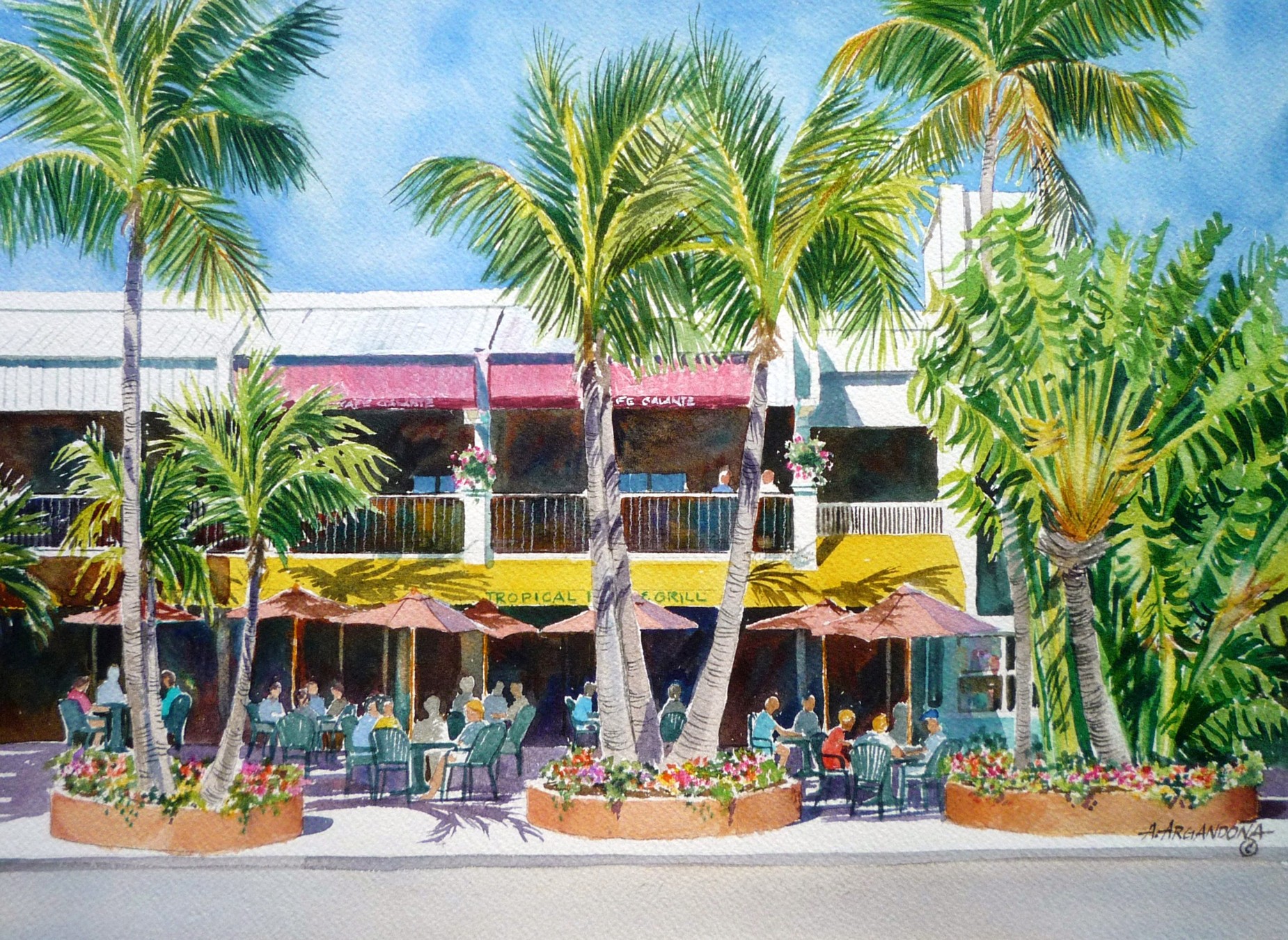 Tropical Paradise