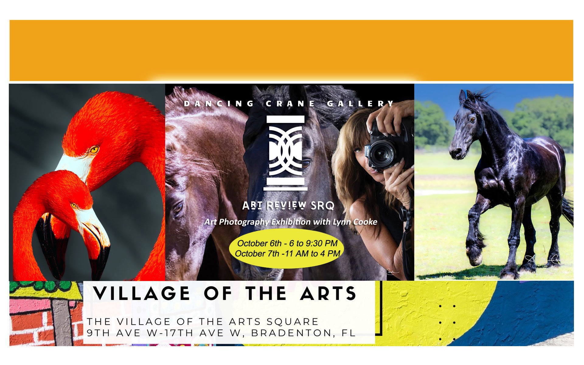 Dancing Crane Gallery -October 6th Friday 6 - 9pm & October 7th  11 - 4PM